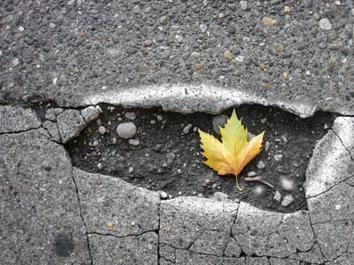 Blog - Sharon Krause - potholes_image